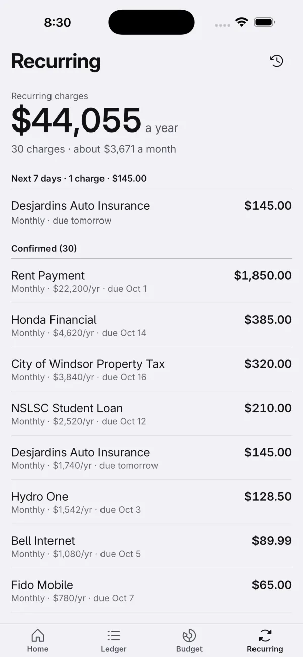 Recurring screen listing subscriptions and repeating charges with their yearly cost.
