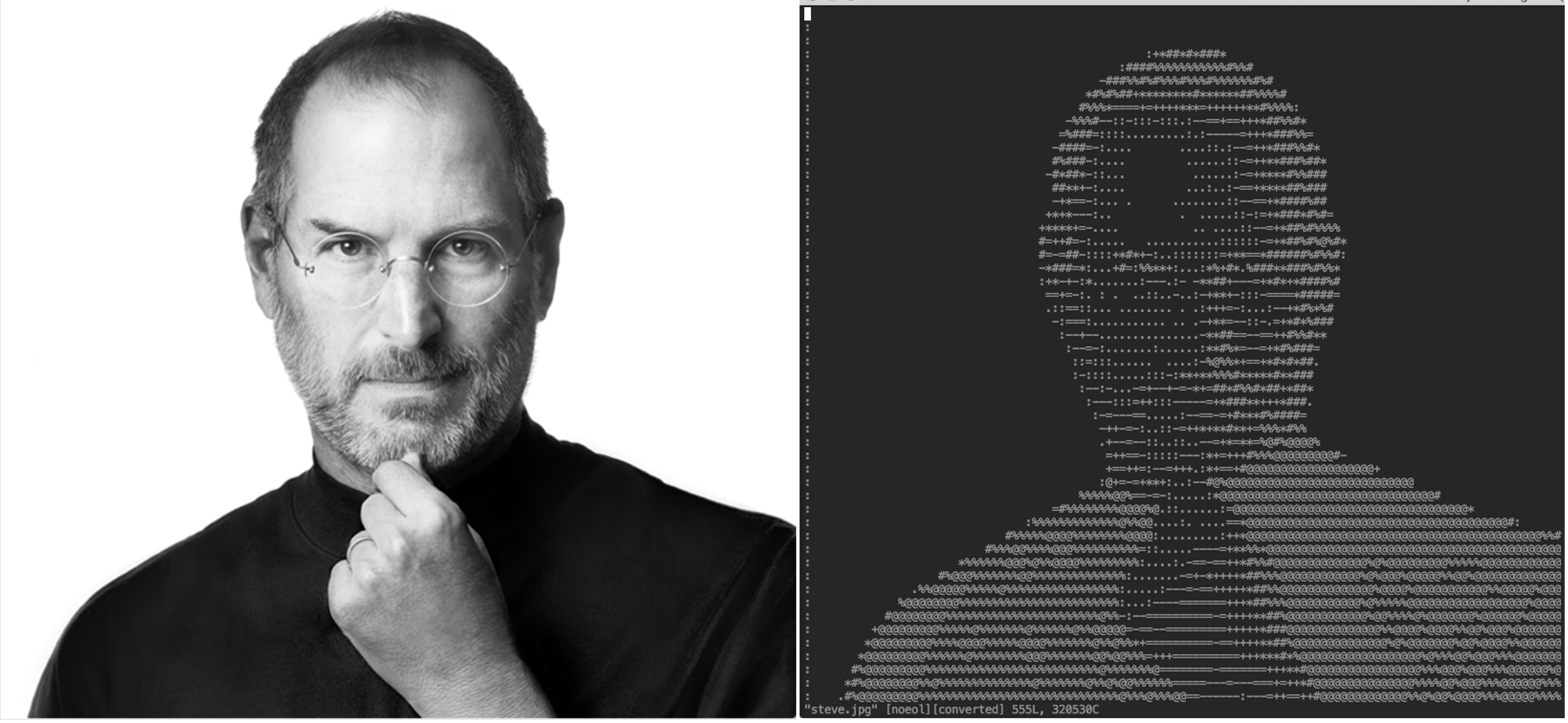 A Picture Rendered As ASCII